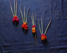 Mentally Challenged Children School - Warana Chaitanya 