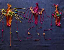 Mentally Challenged Children School - Warana Chaitanya 