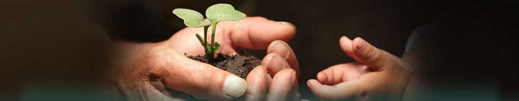Warana Chaitanya - Mentally Challenged Children School 